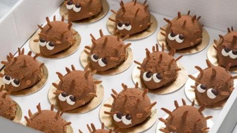 Egel van chocolade mousse