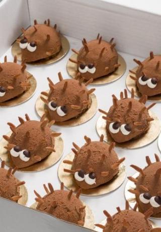 Egel van chocolade mousse