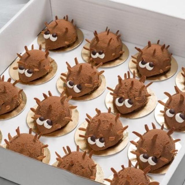 Egel van chocolade mousse