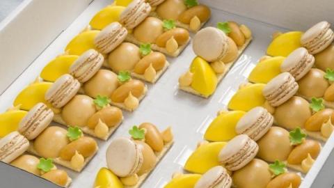 Taartje van abrikoos, macaron vanille, grote canelle van passievrucht, kleine canelle abrikoos, nougat bombe