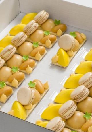 Taartje van abrikoos, macaron vanille, grote canelle van passievrucht, kleine canelle abrikoos, nougat bombe