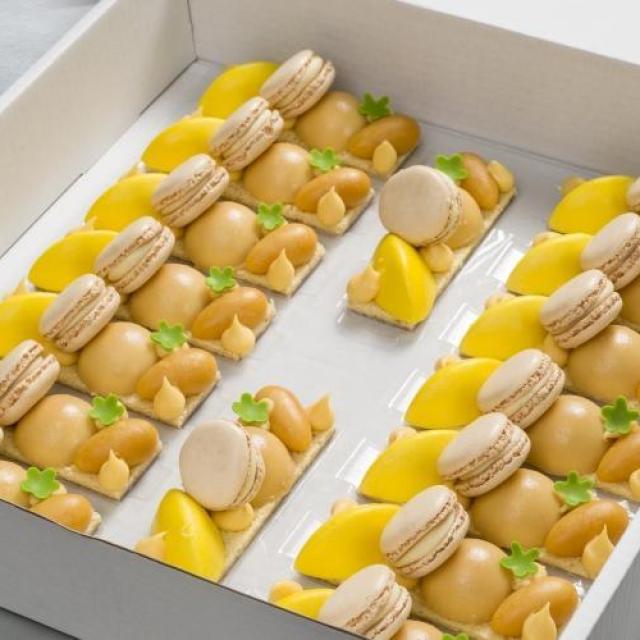 Taartje van abrikoos, macaron vanille, grote canelle van passievrucht, kleine canelle abrikoos, nougat bombe