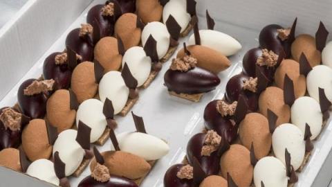 Trio van chocolade met een biscuitbodem