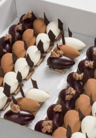 Trio van chocolade met een biscuitbodem