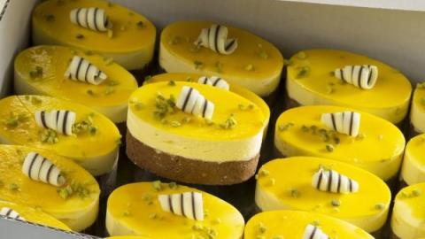 IJsdessert ovaal mango