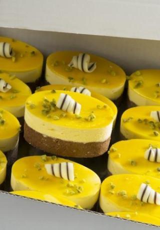 IJsdessert ovaal mango