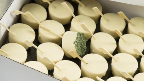 ijslolly in smaak naar keuze witte chocolade
