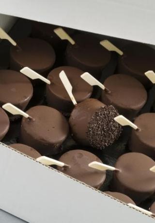 IJslolly, in smaak naar keuze met pure chocolade