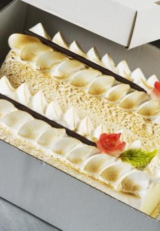 IJsomelette vanille cake vorm