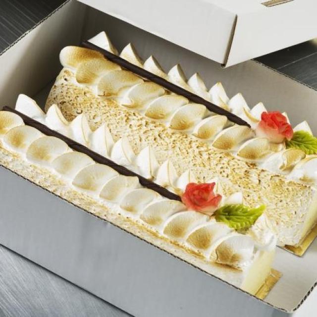 IJsomelette vanille cake vorm