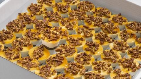 Petit four van ijs, yoghurt-honing-pecannoten met een bodem van kandijkoek