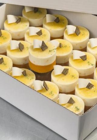 Bavarois dessert kwark met mandarijn