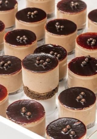 Bavarois dessert pure chocolade mousse met chocolade biscuitbodem
