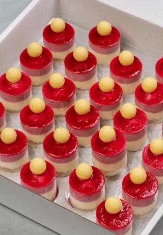 Cylinder witte chocoladecrunch met rood fruit en een witte chocolade bal
