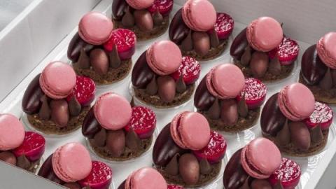 Dessert Rouge: Pannacotta veenbes-kers, macaron framboos, canelle chocolade, ganache framboos en een browniebodem met melkchocol