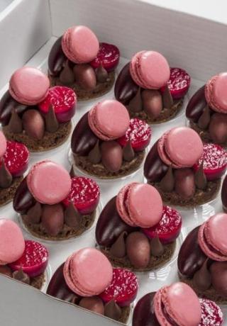 Dessert Rouge: Pannacotta veenbes-kers, macaron framboos, canelle chocolade, ganache framboos en een browniebodem met melkchocol
