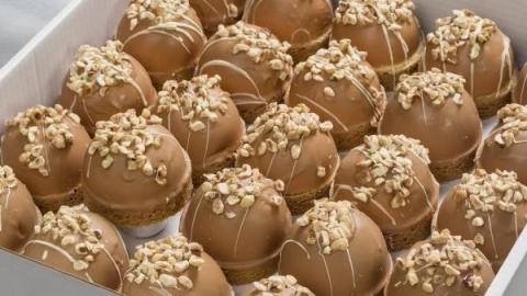Hazelnootbol: hazelnootcrème overgoten met melkchocolade en een sloffendeegbodem, gedecoreerd met stukjes hazelnoot en witte cho