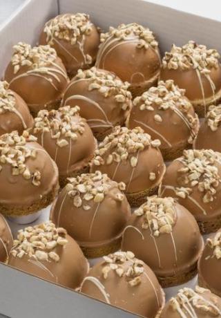 Hazelnootbol: hazelnootcrème overgoten met melkchocolade en een sloffendeegbodem, gedecoreerd met stukjes hazelnoot en witte cho