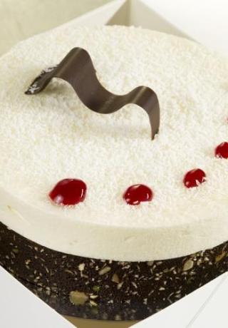 Bavarois taart cocos, 6-8 pers.