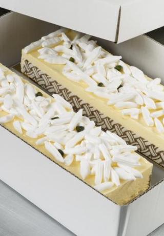 Longeur bavarois champagne