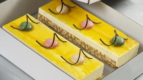 Longeur bavarois passie