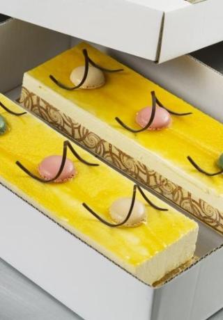 Longeur bavarois passie