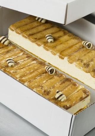 Longeur bavarois tiramisu