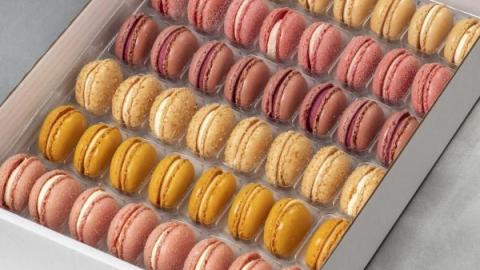 Gevulde macaron in diverse smaken : Sinaasapel, aardbei, zwarte bes, cocos, abrikoos, rose
