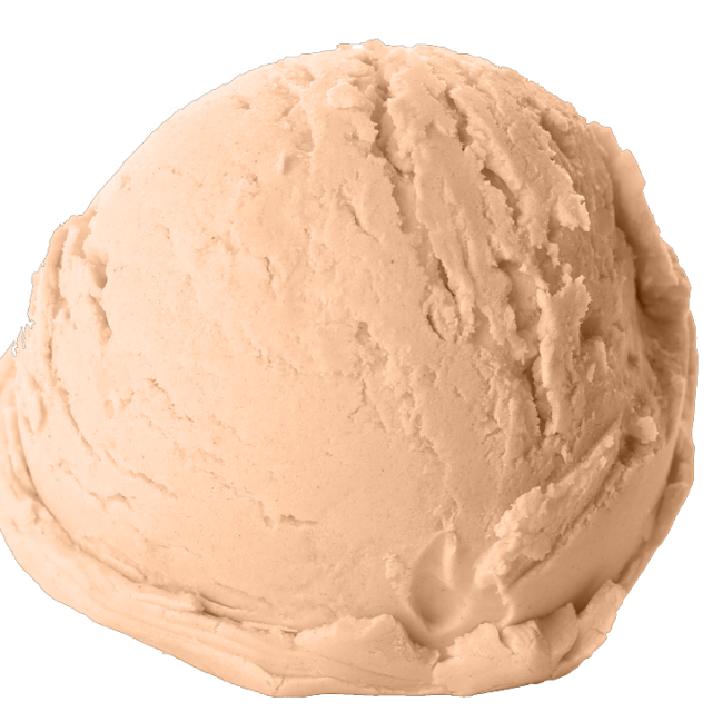 Hazelnoot