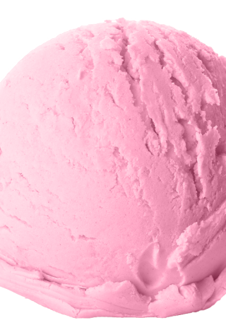 Kauwgom rose