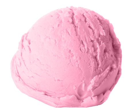 Kauwgom rose